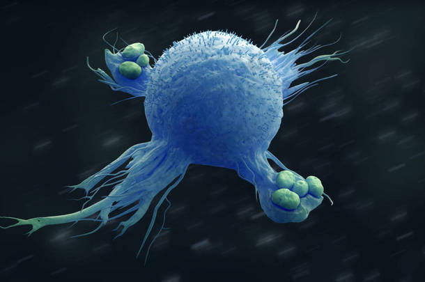 巨噬细胞吞没细菌3d 例证