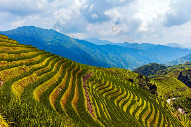 Longsheng (Longji)稻田，中国