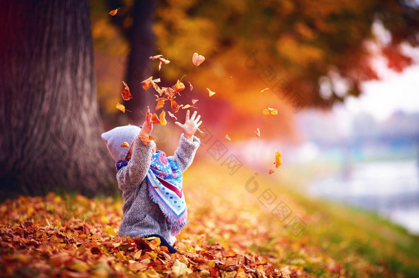 可爱的开心宝贝<strong>女孩</strong>捕捉落叶，秋天的公园里玩