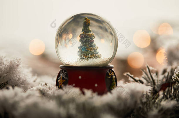 雪地里的圣诞树，站在云杉树枝上，灯光朦胧  