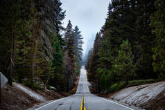 美国加利福尼亚州红杉国家公园的一条笔直陡峭的道路.