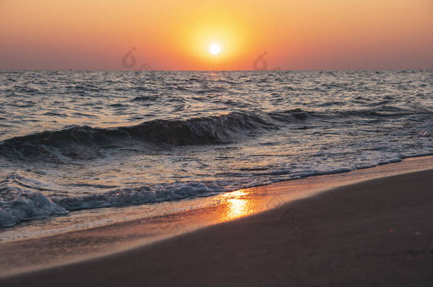 在大海和海滩上的日出