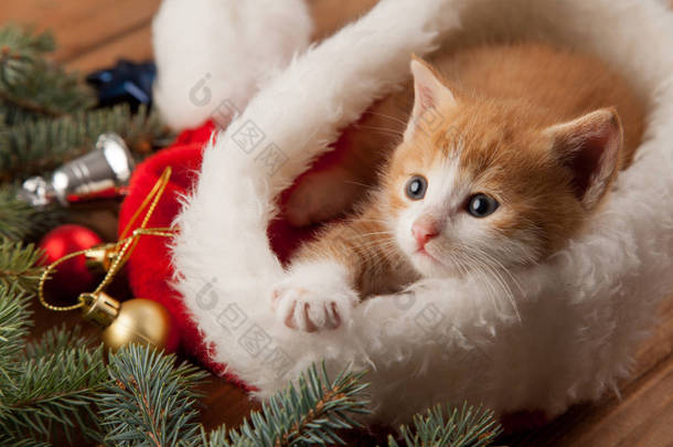 可爱的姜小猫在红色<strong>圣诞</strong>老人帽子在木桌与冷杉树和<strong>圣诞</strong>节球