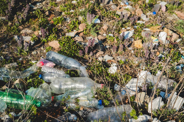生态概念。地球的生态问题。海边休息的地方垃圾。绿草和花之间的塑料瓶.