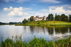 利沃夫地区有湖泊和树木的古老的Svirzh城堡