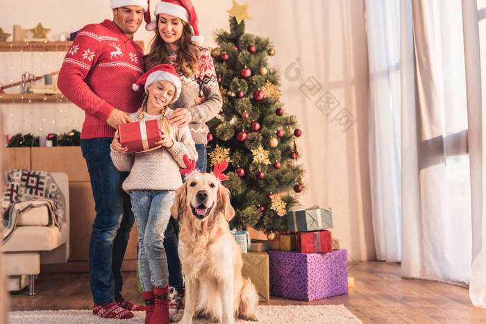 幸福的家庭在圣诞老人帽子与金猎犬狗在鹿角摆在家里附近圣诞树与礼物