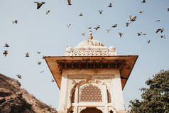 德里的印度清真寺和在蓝天背景下飞翔的鸟儿