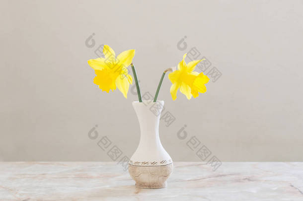 花瓶里的黄色水仙