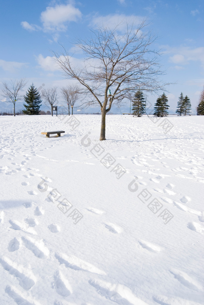 雪地上的脚印