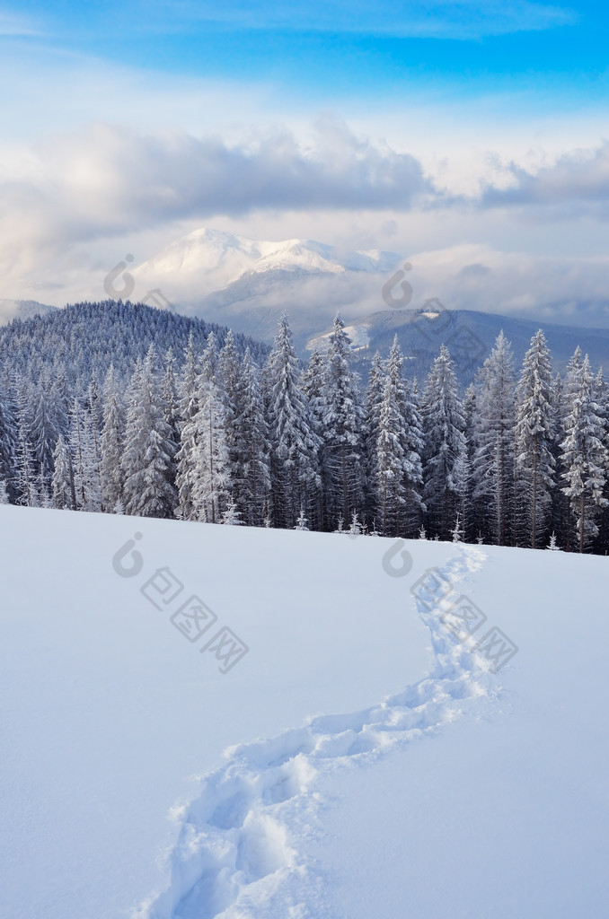 在雪中的路径