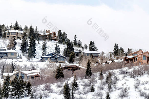 犹他州公园市的全景山，冬季新雪中的房屋和树木林立