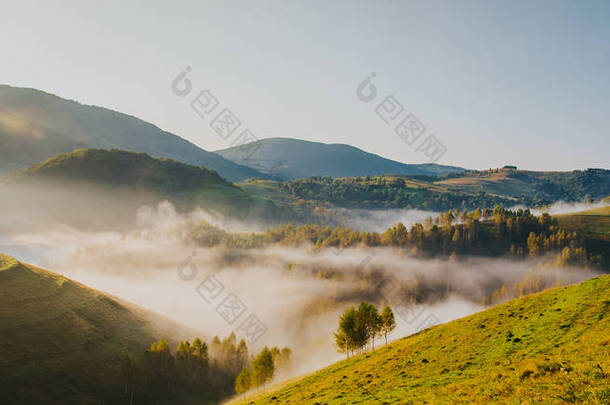 多雾的晨景，绿树成荫.