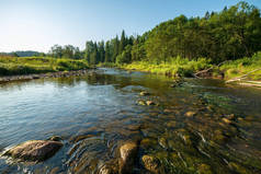 拉脱维亚阿马塔河的水流与砂岩悬崖, 绿色的树叶在夏天的早晨