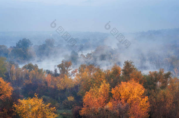蓝色雾河和五颜六色的森林的惊人鸟瞰图 