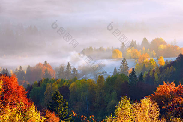 令人惊奇的秋天乡村风景.迷人的风景和晨雾.阳光照亮了草坪.绿色的草地在霜冻中.喀尔巴阡山脉<strong>旅游</strong>胜地，乌克兰，欧洲.