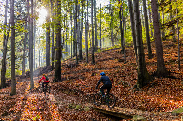 骑自行车，周期山骑自行车的人夫妇在秋天的树林小径。山地自行车在秋天的风景林。男人和女人骑自行车山地车流动上山的小道.