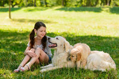 狗和它们的主人在地里休息, 坐在草地上躺着。年轻女孩抚摸着她的宠物, 对他们表示爱和关心.