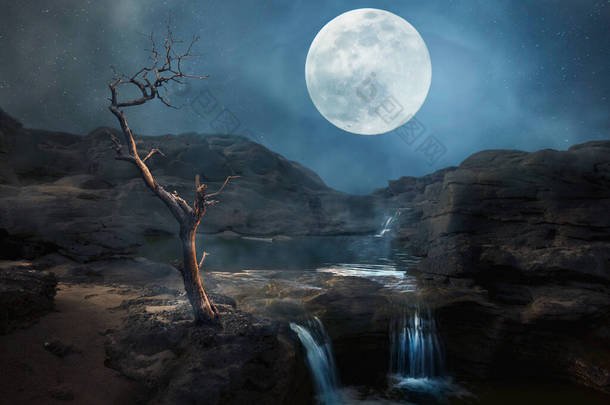 满月的夜晚，<strong>瀑布</strong>落在干枯的树上.