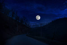 满月之夜穿过森林的山路。乡村道路夜景夜景