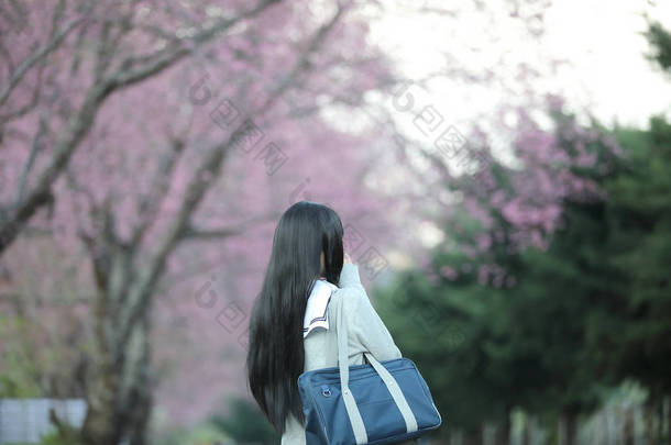 日本学校女孩礼服寻找樱花自然走道