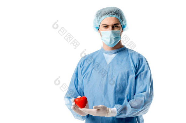 外科医生在蓝色医疗制服和医疗面具和藏品玩具<strong>心脏</strong>隔绝在白色
