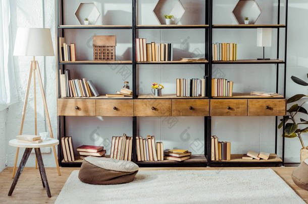 带木制家具和书籍的客厅内部 