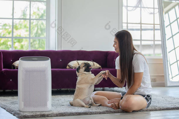 妇女在舒适的白色客厅里玩狗排泄器和空气净化器，在家中过滤和清理灰尘PM2.5 HEPA，以获得新鲜空气和健康的生活，空气污染概念