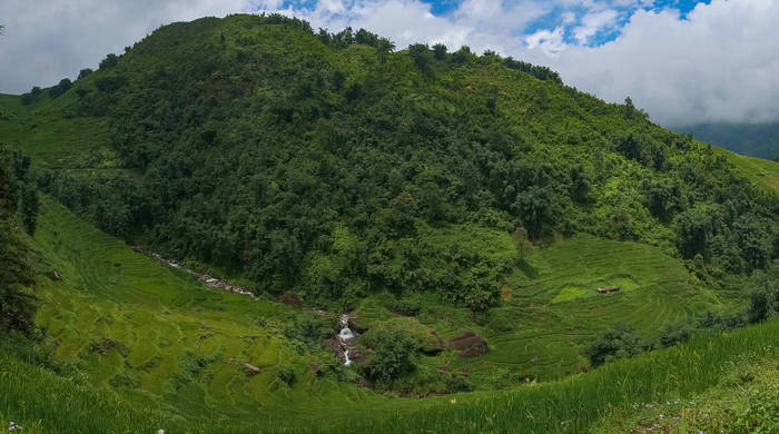 山间景观，森林和水覆盖 