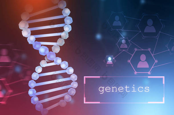 蓝色的 dna 螺旋和人网络图标的蓝色紫色背景。文本遗传学写在一个小盒子里。生物技术、生物学、医学和科学概念。3d 渲染模拟色调图像