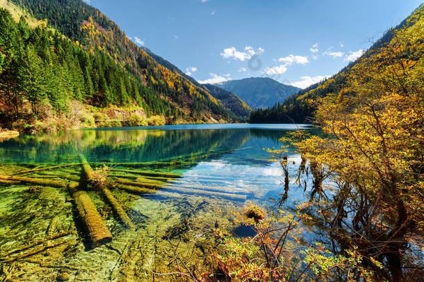 美丽的风景箭头竹湖与水晶清水