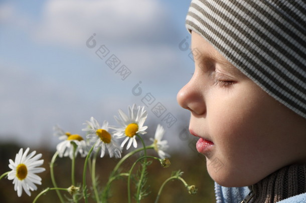 年轻的男孩嗅到 camomille 花