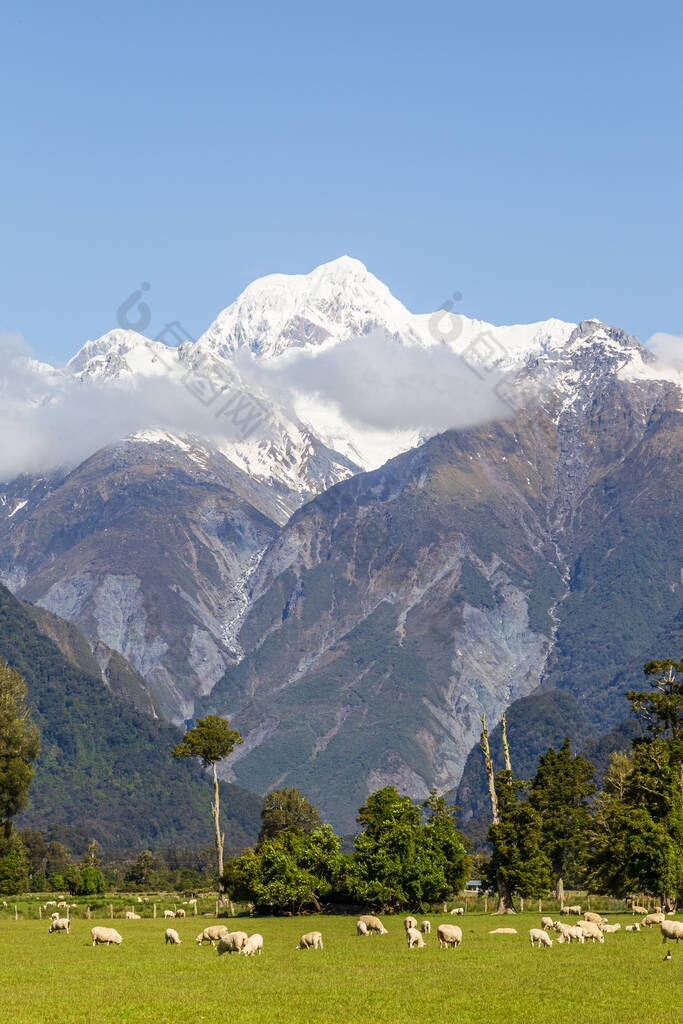 新西兰南岛的景观。南部阿尔卑斯山。库克山1.新西兰