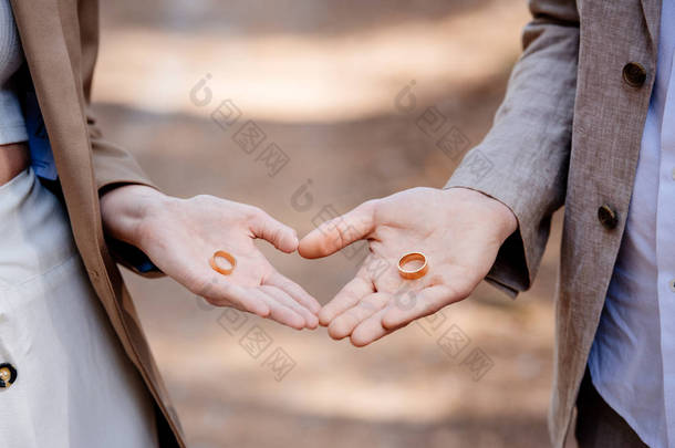 新郎和新郎拿着结婚戒指的裁剪视图