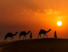 与骆驼在沙丘的塔尔渔民两驼 (骆驼驱动程序)