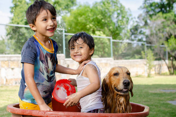 快乐的孩子们在花园里给一只金黄色的<strong>猎犬</strong>洗澡，然后淋湿了