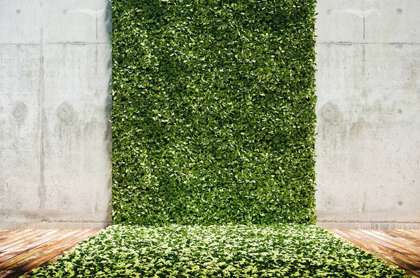 3d. 绿色清新立式花园及混凝土墙体的渲染