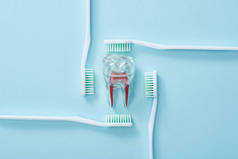 蓝色底座上有牙刷和人造塑料牙的平坦地面