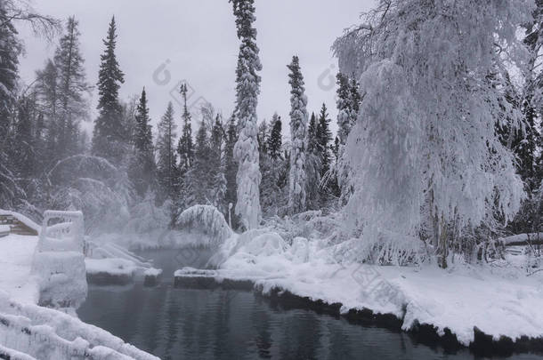 池塘在雪盖的公园, 利亚德河温泉省公园, 北部落基山脉地方自治市, 不列颠哥伦比亚省, 加拿大