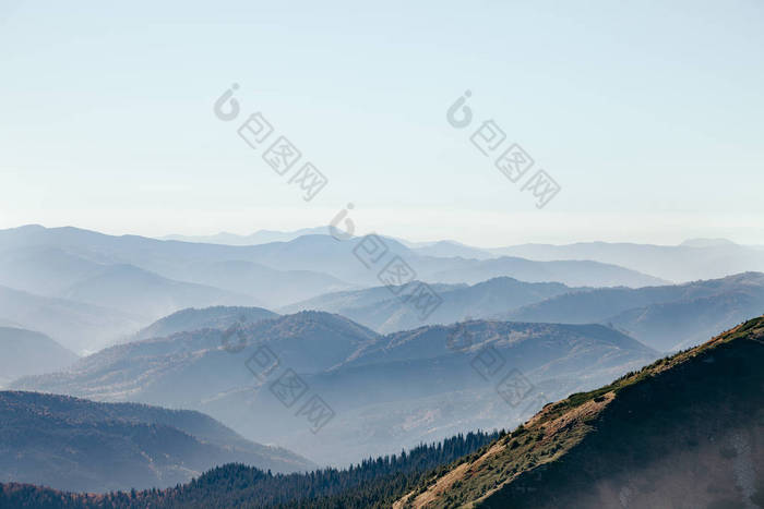 美丽的朦胧的山风景的鸟图, 喀尔巴泰, 乌克兰