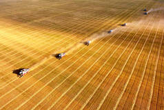 谷物收获。收割机在田间作业。农业。联合收割机的鸟图。收获小麦。联合收割机农业机械收集中成金小麦的田间。从上面看.