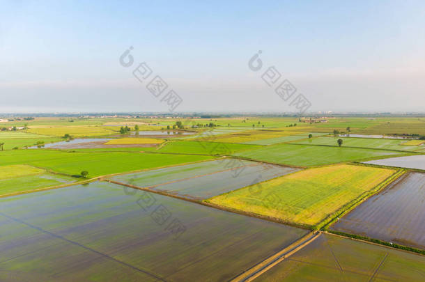 空中: 稻田, 被淹没的耕地<strong>农田</strong>农村, <strong>农业</strong>占领, sprintime 在意大利山麓