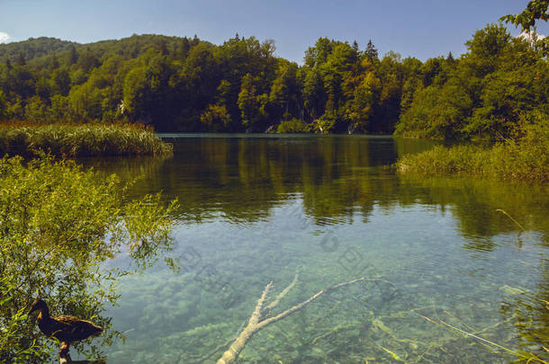 Plitvice湖国家公园美丽的风景。克罗地亚