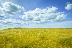 蓝天白云的美丽草原景观