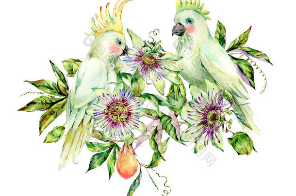 水彩画和白鹦鹉贺卡,鲜花, l