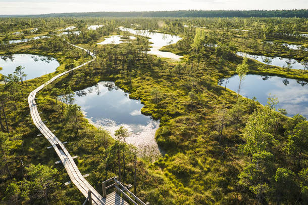 在拉脱维亚里加的木桥和绿色植物鸟瞰图