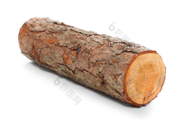 切日志木柴从常见的桤木树