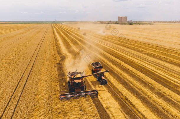 收割机在田里工作.组合收割机农机收获<strong>金</strong>熟小麦田.农业。空中风景。从上面看.