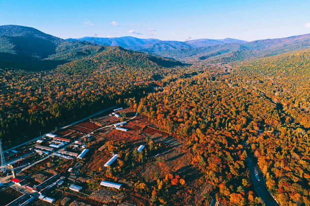 2017年9月22日, 在<strong>中国</strong>东北吉林省长白山保护区, 鸟的<strong>景色</strong>显示了森林中五颜六色的树叶的秋景