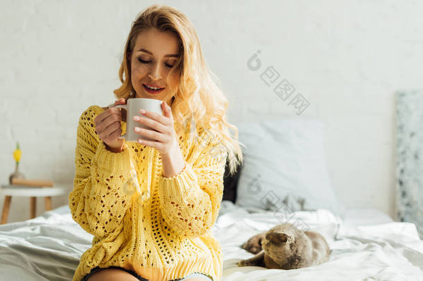 美丽的年轻女子与咖啡坐在床上与苏格兰折叠猫