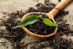 干茶叶用木勺，麻布背景上的绿色叶子